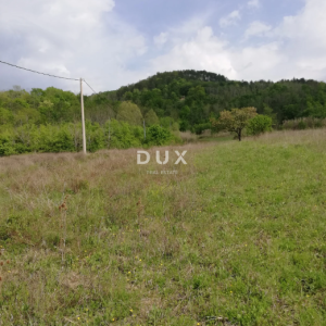 ISTRA, MOTOVUN - Prostrano zemljište mještovite namjene