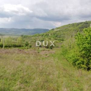 ISTRA, MOTOVUN - Prostrano zemljište mještovite namjene