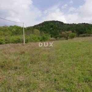ISTRA, MOTOVUN - Prostrano zemljište mještovite namjene