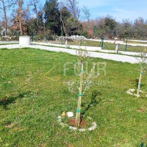 Istra, Peroj, poljoprivredno zemljište 405m2