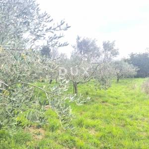 ISTRA, PREMANTURA - Građevinsko zemljište s pogledom na more