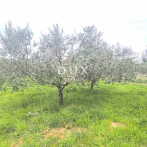 ISTRA, PREMANTURA - Građevinsko zemljište s pogledom na more