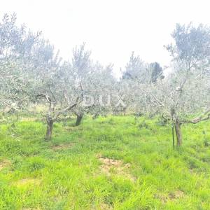 ISTRA, PREMANTURA - Građevinsko zemljište s pogledom na more