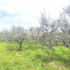 ISTRA, PREMANTURA - Građevinsko zemljište s pogledom na more