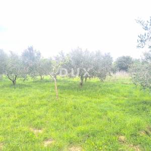 ISTRA, PREMANTURA - Građevinsko zemljište s pogledom na more