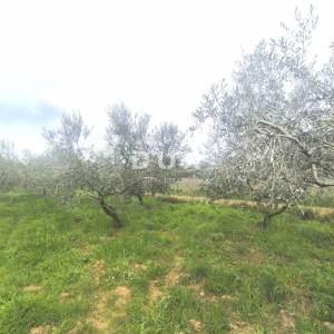 ISTRA, PREMANTURA - Građevinsko zemljište s pogledom na more