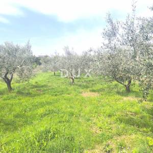 ISTRA, PREMANTURA - Građevinsko zemljište s pogledom na more