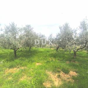 ISTRA, PREMANTURA - Građevinsko zemljište s pogledom na more