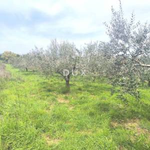 ISTRA, PREMANTURA - Građevinsko zemljište s pogledom na more