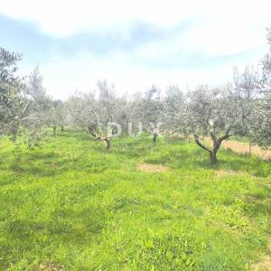 ISTRA, PREMANTURA - Građevinsko zemljište s pogledom na more