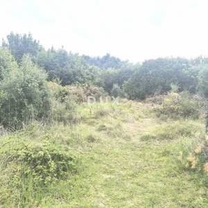ISTRA, PREMANTURA - Vikend zemljište rt. Kamenjak 190 m od plaže