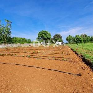 ISTRA, PULA - Poljoprivredno zemljište 3700 m2