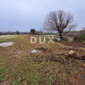 ISTRA, PULA - Poljoprivredno zemljište 3700 m2
