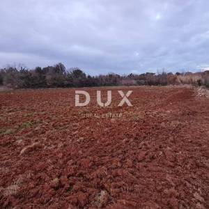 ISTRA, PULA - Poljoprivredno zemljište 3700 m2