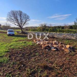 ISTRA, PULA - Poljoprivredno zemljište 3700 m2