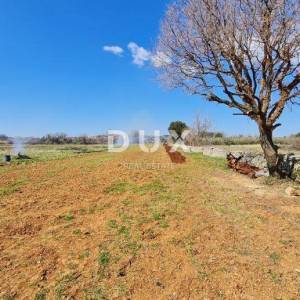 ISTRA, PULA - Poljoprivredno zemljište 3700 m2