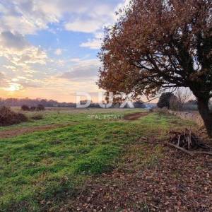 ISTRA, PULA - Poljoprivredno zemljište 3700 m2