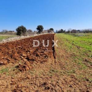 ISTRA, PULA - Poljoprivredno zemljište 3700 m2