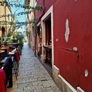 ISTRA, ROVINJ - Ugostiteljski objekt i apartman, drugi red do mora