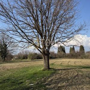 Istra, Šišan, građevinsko zemljište