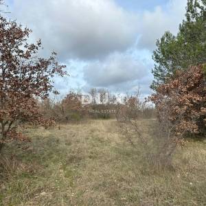 ISTRA, ŠTOKOVCI - Poljoprivredno zemljište 4500m²