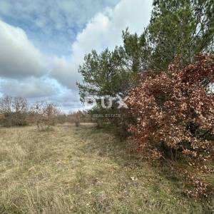 ISTRA, ŠTOKOVCI - Poljoprivredno zemljište 4500m²