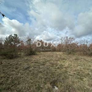 ISTRA, ŠTOKOVCI - Poljoprivredno zemljište 4500m²