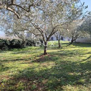 ISTRA, SVETVINČENAT - Zemljište u mirnom istarskom mjestu