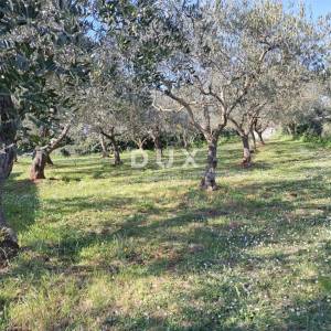 ISTRA, SVETVINČENAT - Zemljište u mirnom istarskom mjestu