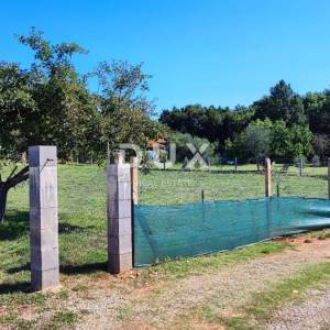 ISTRA, VALTURA - Poljoprivredno zemljište 1500m2 na granici urbanizacije!
