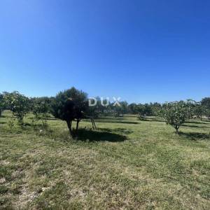 ISTRA,RAKALJ - Dva građevinska zemljišta na odličnoj lokaciji