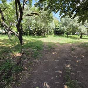 Izvrsna prilika! Prodaja građevinskog zemljišta na odličnoj lokaciji, Medulin!