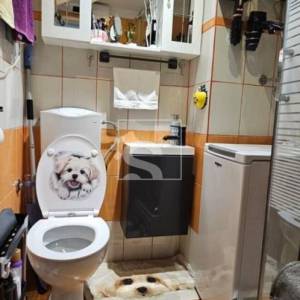 Jednosoban stan, Pula, renoviran, 1.kat