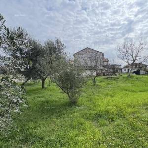 Kamena kuća s potencijalom – blizu Umaga