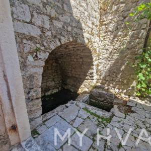 Kapari u Jelsi