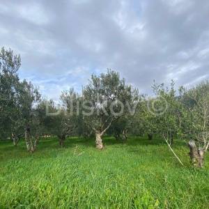 Kaštel Sućurac, građevinsko 1417m2, prodaja