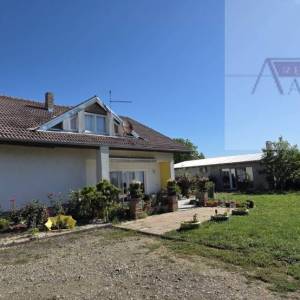 Kneževi vinogradi kuća 230 m2 + pomoćni objekt 60 m2