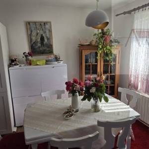 Kneževi vinogradi kuća 230 m2 + pomoćni objekt 60 m2