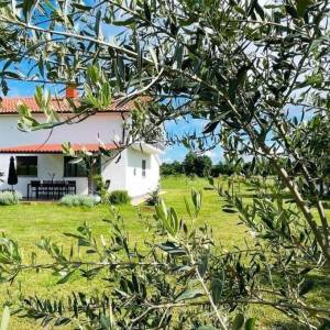 KOMPLEKS: KUĆA + GRAĐEVINSKA ZEMLJIŠTA + MASLINIK