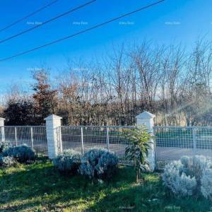 KOMPLEKS: KUĆA + GRAĐEVINSKA ZEMLJIŠTA + MASLINIK