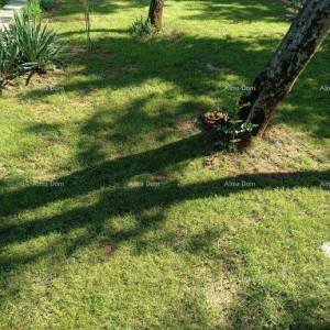 Kuća 39 m² blizu mora – Peroj
