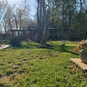 Kuća 39 m² blizu mora – Peroj