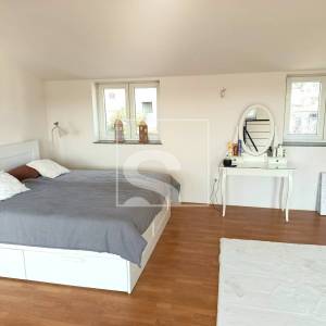 Kuća u Istri 300m2, s konobom i 1081m2 obradivog zemljišta