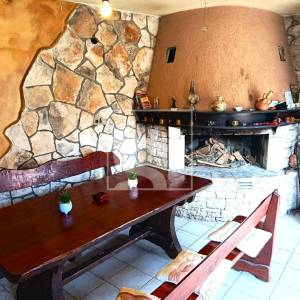 Kuća u Istri 300m2, s konobom i 1081m2 obradivog zemljišta