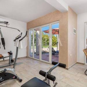 Labin, okolica, Villa sa bazenom i wellnessom
