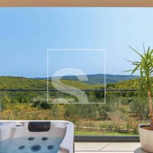 Labin, vila s bazenom, saunom, wellnessom s pogledom na šumu