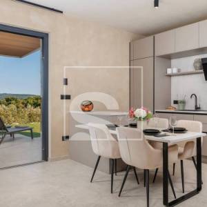 Labin, vila s bazenom, saunom, wellnessom s pogledom na šumu