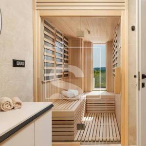 Labin, vila s bazenom, saunom, wellnessom s pogledom na šumu