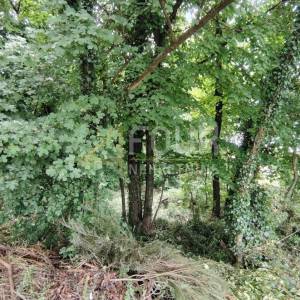 Matulji, građevinsko zemljište 1.334m2