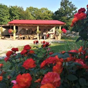 MATULJI (okolica) - unikatna villa s bazenom i ogromnom okućnicom